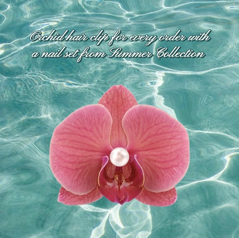 Pinky Seashell